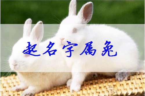 屬兔閻姓寶寶起名大全