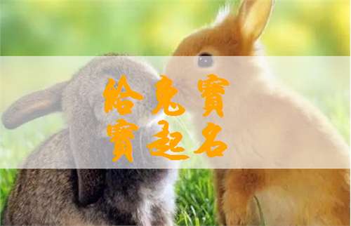 屬兔姓牛寶寶起名大全