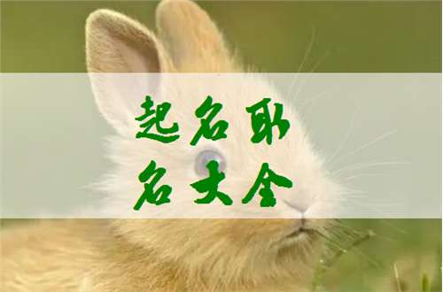 屬兔姓喬寶寶起名大全
