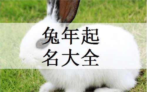 屬兔姓喬寶寶起名大全