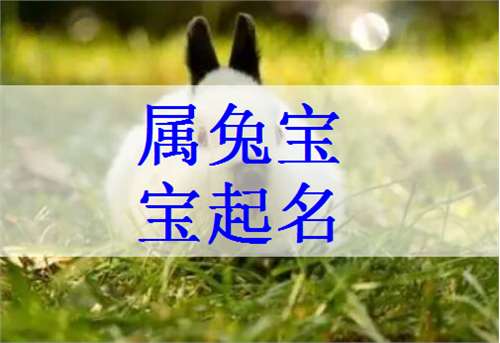 屬兔葛姓寶寶起名大全