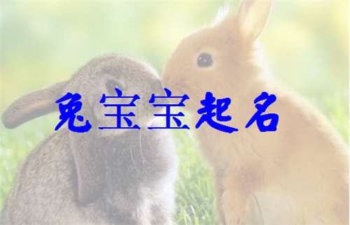 屬兔姓鄧寶寶起名大全