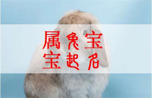 屬兔寶寶起名大全