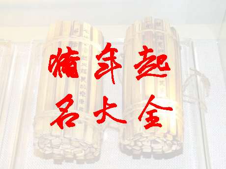 屬豬姓尹寶寶起名大全