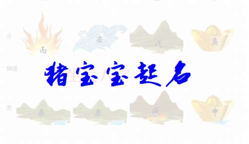 屬豬姓申寶寶起名大全