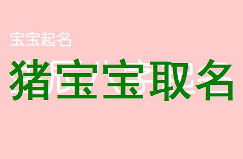 屬豬寶寶起名大全