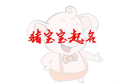 屬豬姓田寶寶起名大全