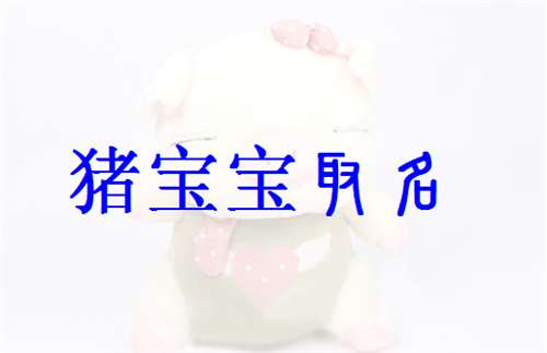 屬豬翁姓寶寶起名大全