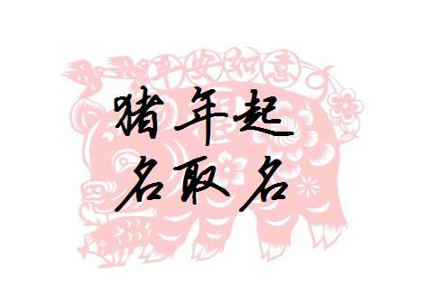 屬豬姓張寶寶起名大全