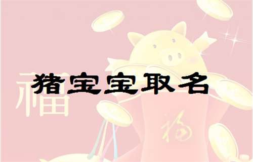屬豬寶寶起名大全
