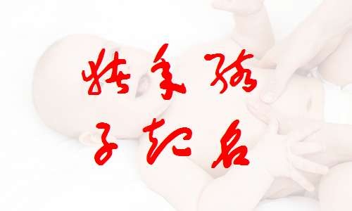 屬豬姓熊寶寶起名大全