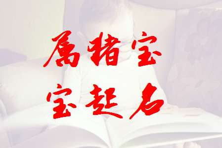 屬豬姓廖寶寶起名大全