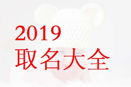 屬豬洪姓寶寶起名大全