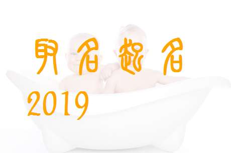 屬豬寶寶起名大全