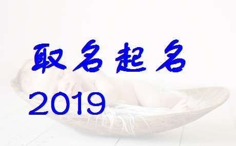 屬豬謝姓寶寶起名大全