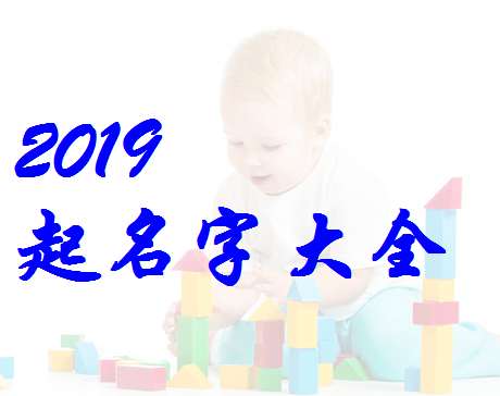 屬豬何姓寶寶起名大全