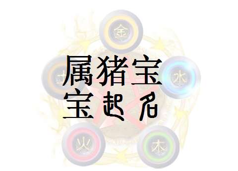 屬豬黨姓寶寶起名大全