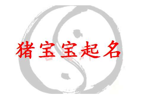 屬豬寶寶起名大全