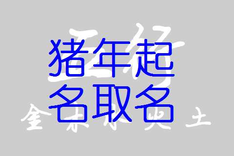 屬豬寶寶起名大全