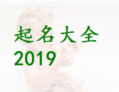 屬豬寶寶起名大全