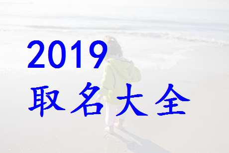 屬豬宋姓寶寶起名大全