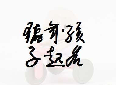 屬豬夏姓寶寶起名大全