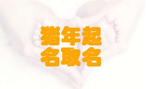 屬豬尚姓寶寶起名大全