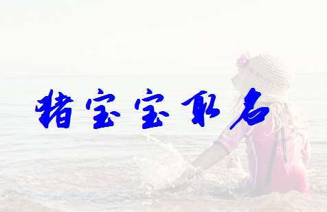 屬豬姓黎寶寶起名大全