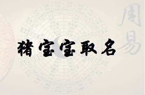 屬豬練姓寶寶起名大全