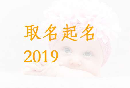 屬豬姓柳寶寶起名大全