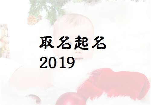 屬豬金姓寶寶起名大全