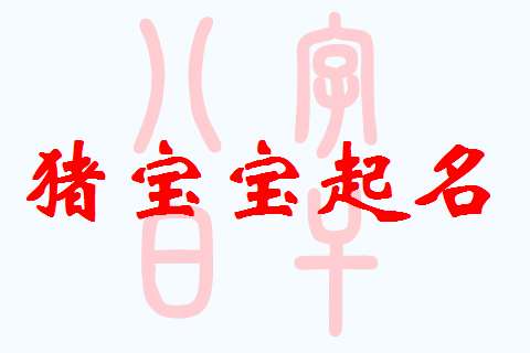 屬豬寶寶起名大全