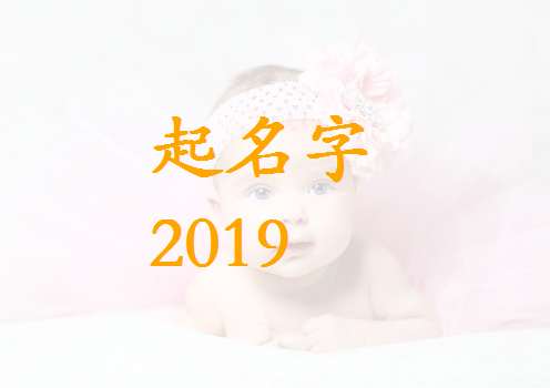 屬豬洪姓寶寶起名大全