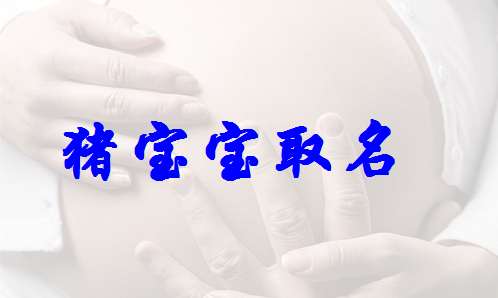 屬豬姓秦寶寶起名大全