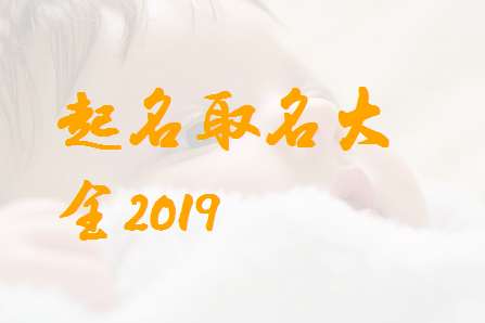 屬豬盛姓寶寶起名大全
