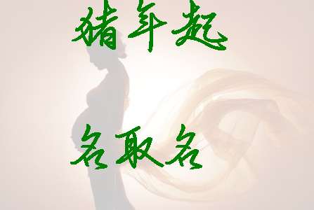 屬豬寶寶起名大全
