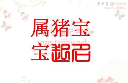 屬豬桑姓寶寶起名大全
