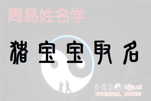 屬豬苑姓寶寶起名大全