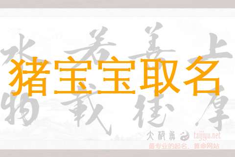 屬豬何姓寶寶起名大全