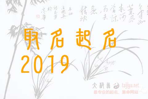 屬豬鞏姓寶寶起名大全