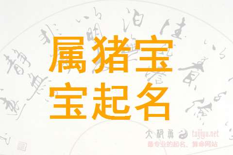 屬豬寶寶起名大全