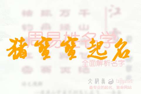 屬豬房姓寶寶起名大全