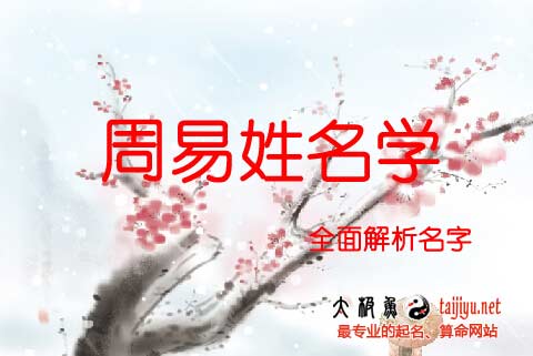 姓名測試打分算命